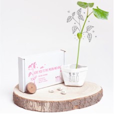 Wish plant 'Love You to the Moon and Back'